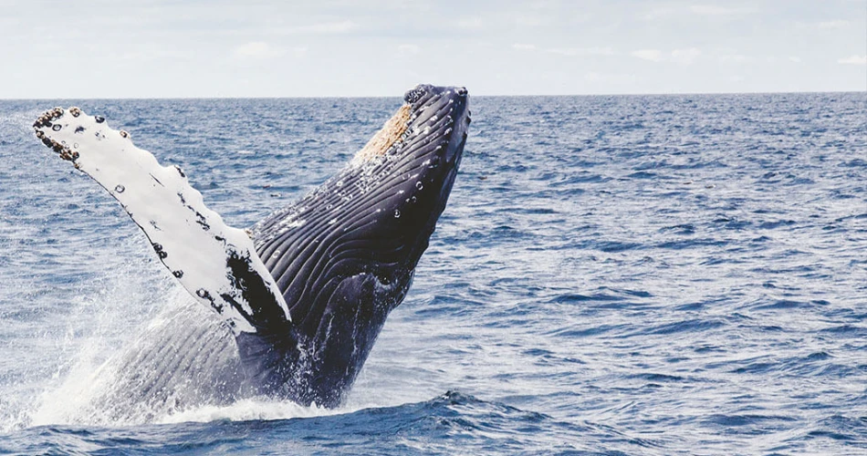 10 Things to Do in San Clemente, California