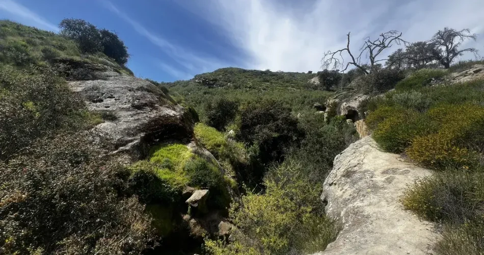 10 Best Trails and Hikes in San Clemente