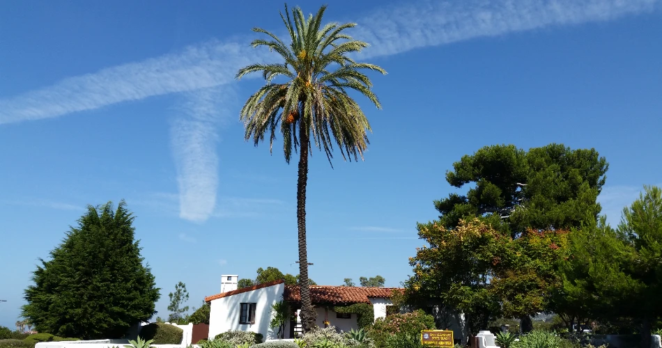 Explore San Clemente: Best Attractions & Weekend Travel Guide